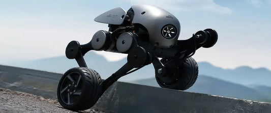 Meet the Future of Care: Companion Robots for Everyday Life