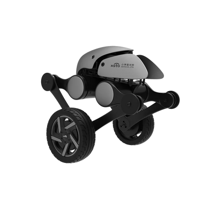 Wheeled Bipedal Robot A6