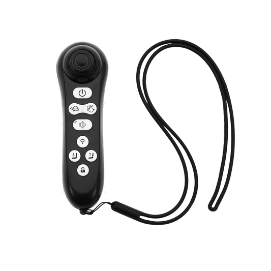 Bluetooth Controller for M4/M4H