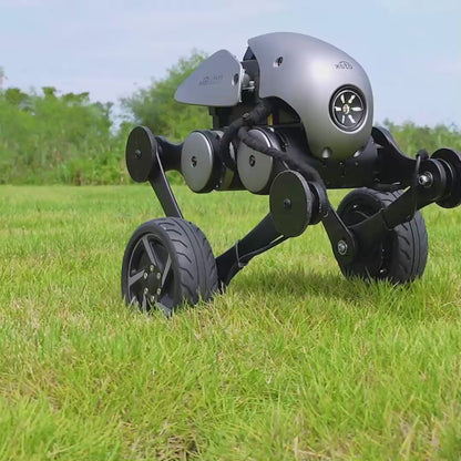 Wheeled Bipedal Robot A6